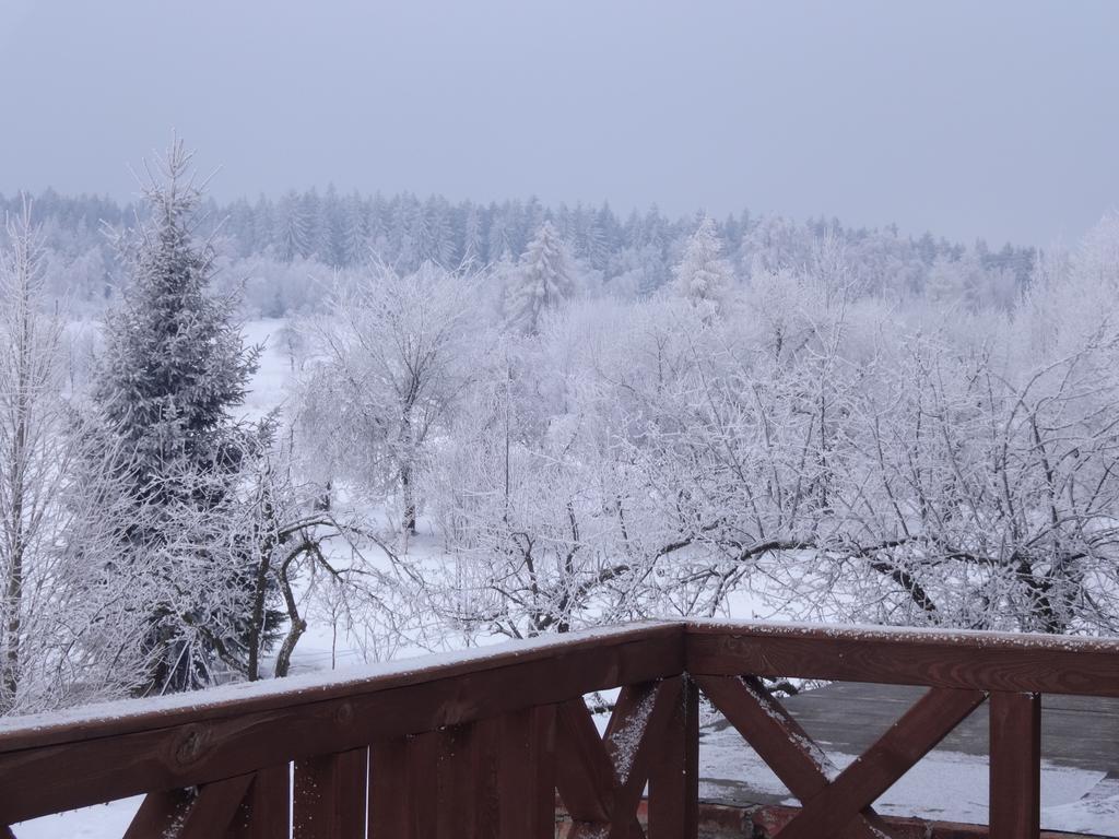 Pokoje Goscinne Przy Lesie Pobiedna Bagian luar foto