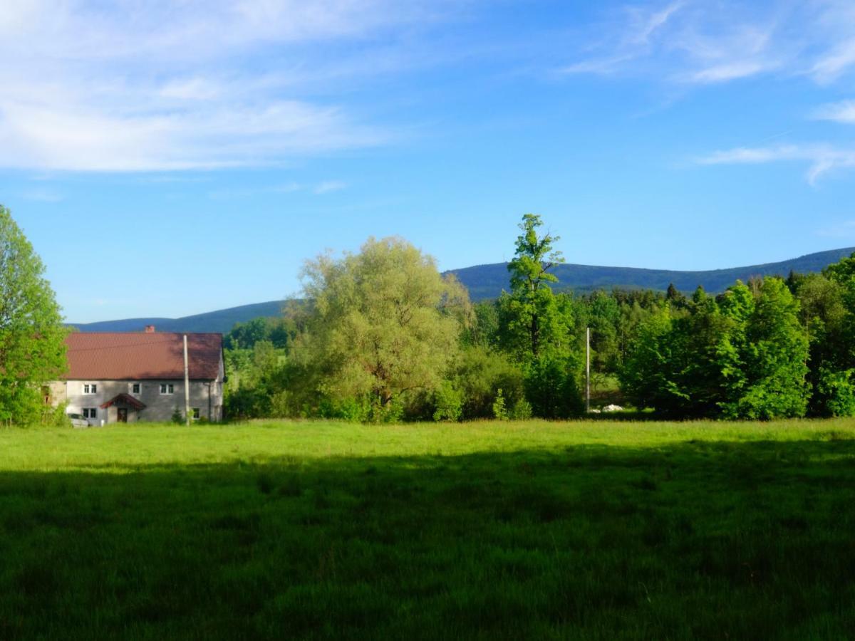 Pokoje Goscinne Przy Lesie Pobiedna Bagian luar foto