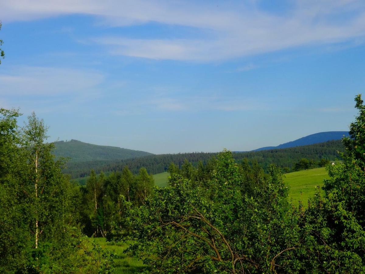Pokoje Goscinne Przy Lesie Pobiedna Bagian luar foto