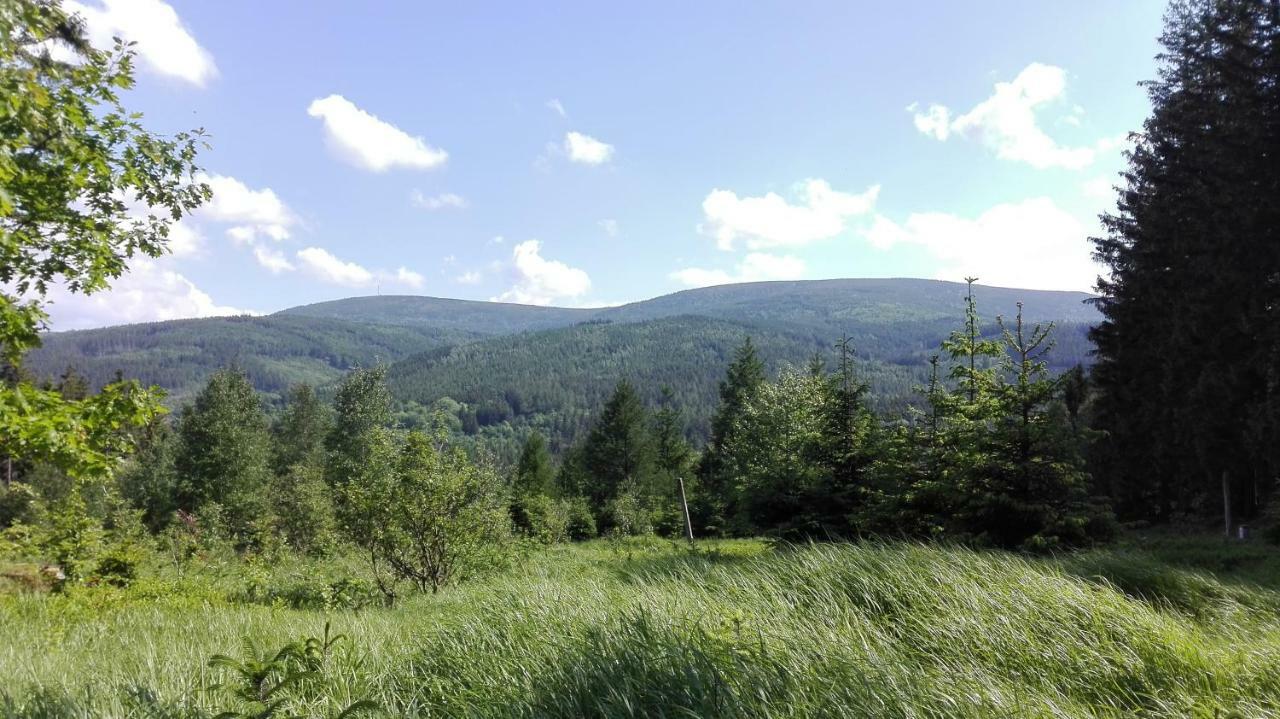 Pokoje Goscinne Przy Lesie Pobiedna Bagian luar foto